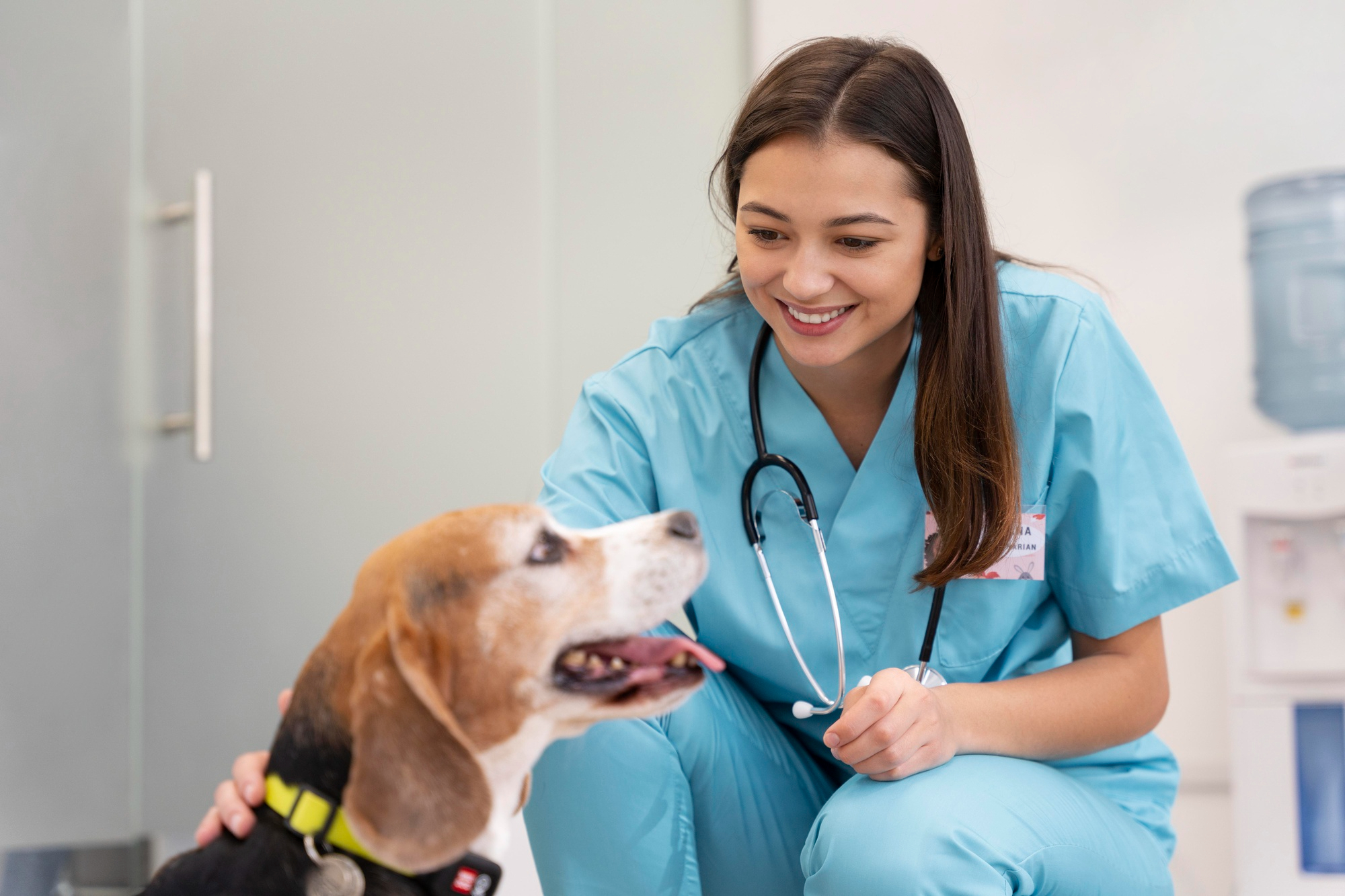 Healthy Pets